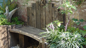 A weathered retreat garden with wooden bench