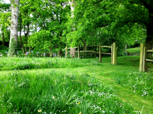 Classic english garden with wooden fence