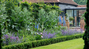 Classic english garden row of purple flowers
