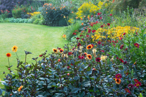 Manor garden with orange and red flowers