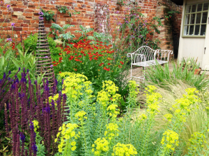 Plant away garden with yellow flowers