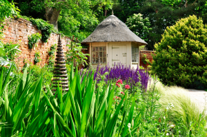 Plant away garden with small hut and purple flowers