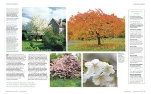 Garden Design Journal 2016 magazine page with orange tree