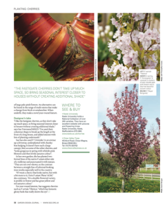 Garden Design Journal 2016 magazine page with flowers