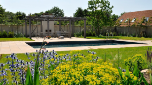 Swimming pool courtyard view with yellow and blue flowers