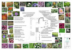 Planting plans and planting