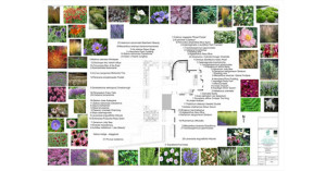 Planting plans and planting