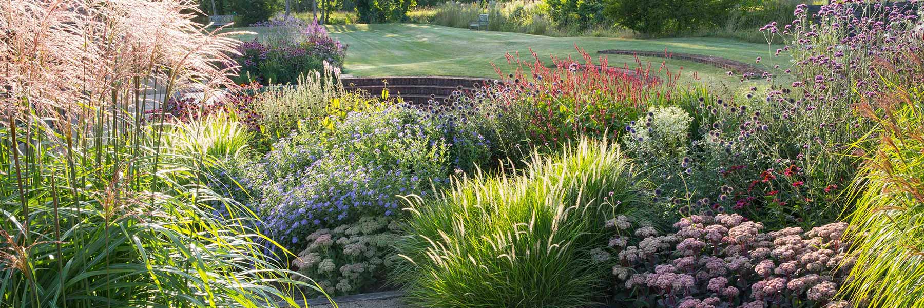 Garden Design Suffolk - Sue Townsend Garden Designer